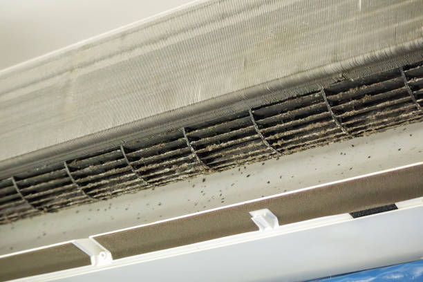 Best Home Air Vent Cleaning  in Roland, AR