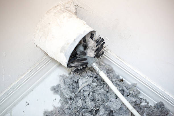 Best Air Duct Cleaning Near Me  in Roland, AR